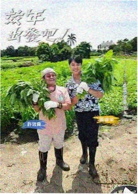 橘子工坊